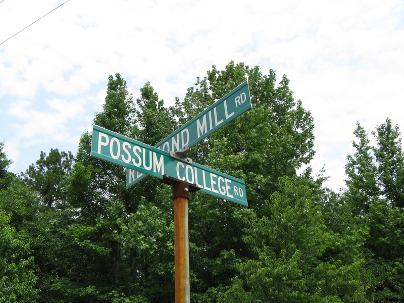 possum-college_2532369933_o