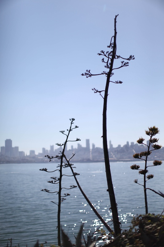 img_4295jpg_4114717523_o