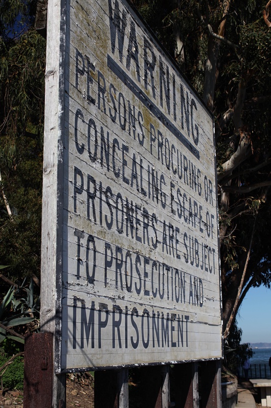 img_4319jpg_4115485736_o