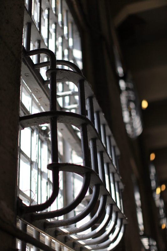 img_4335jpg_4114709939_o