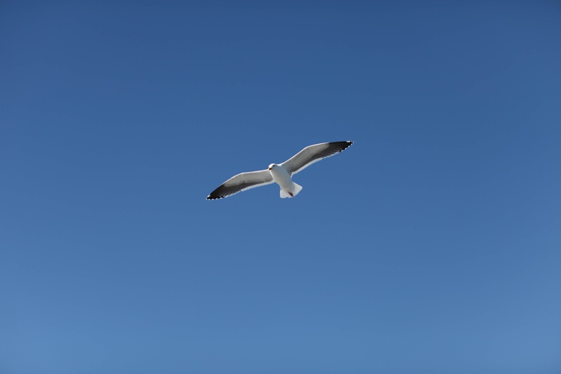 img_4355jpg_4115479370_o