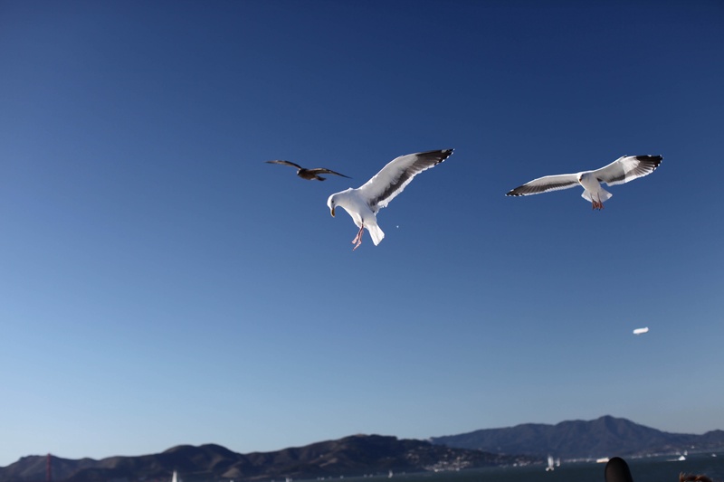 img_4361jpg_4115478446_o