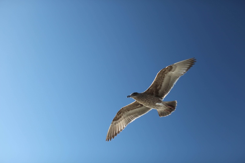 img_4364jpg_4115477400_o