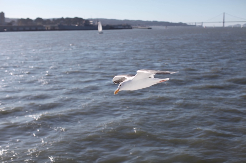 img_4366jpg_4114706341_o