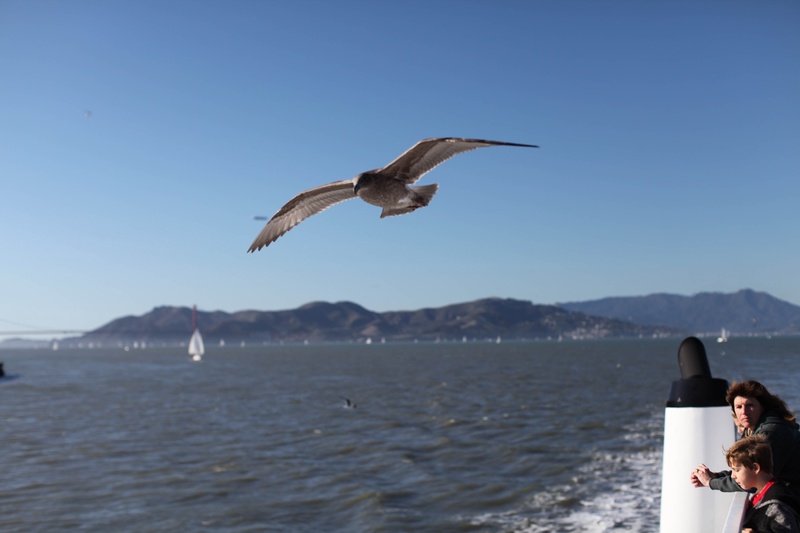 img_4371jpg_4115475944_o