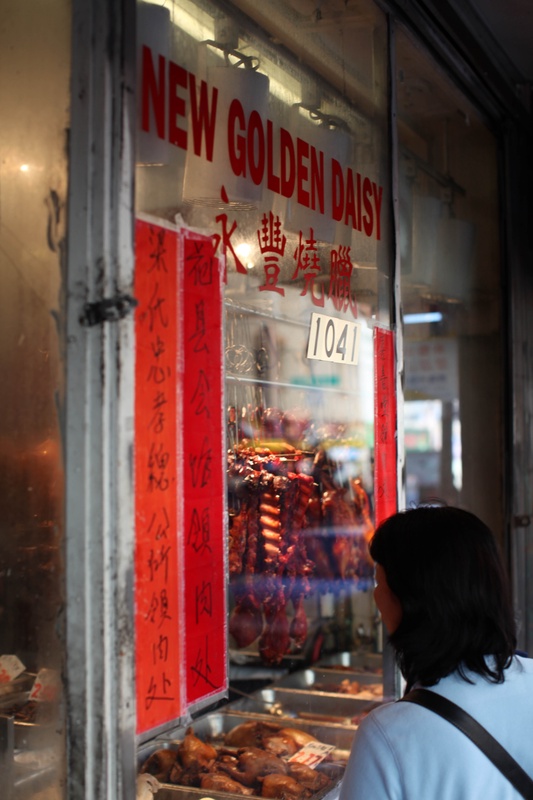 new-golden-daisy_4114705183_o