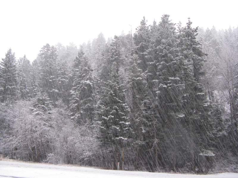 img_0471jpg_3091022565_o