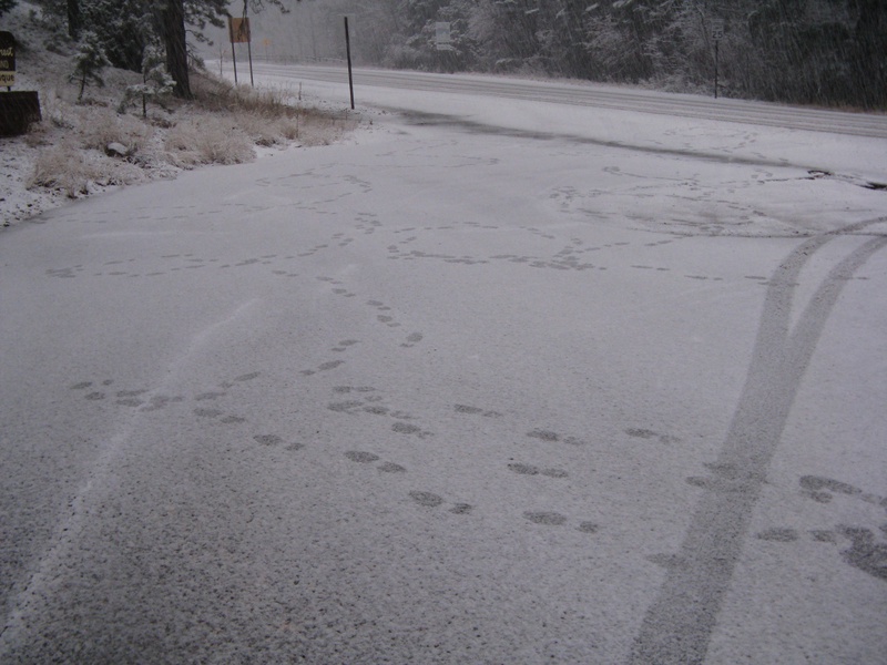 img_0473jpg_3091864062_o