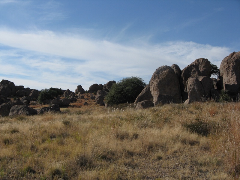 img_0462jpg_3091070833_o