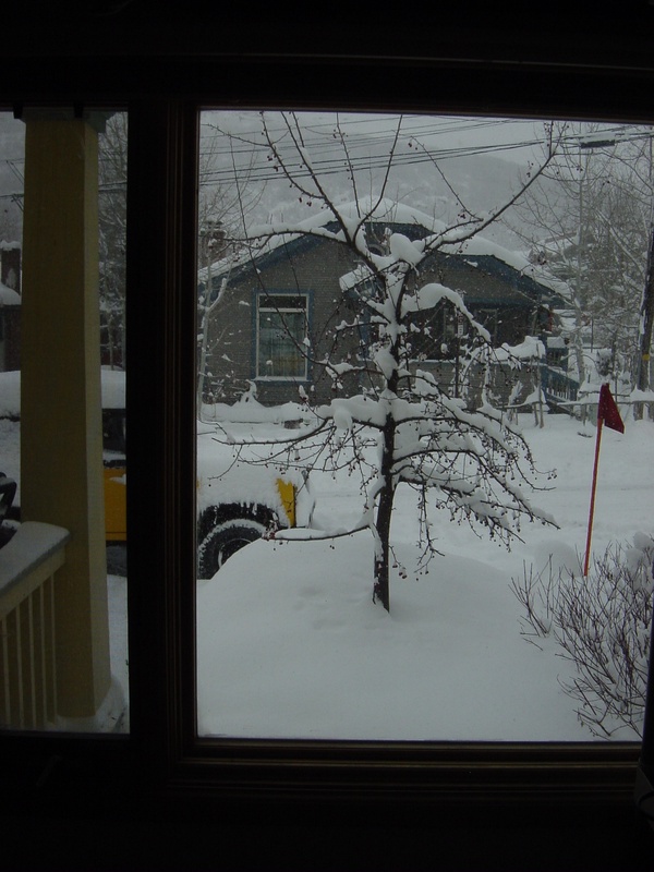 dsc01378jpg_325229327_o