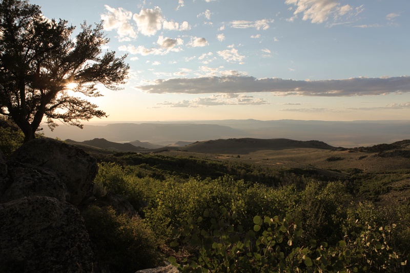 brd-camp_20238676622_o