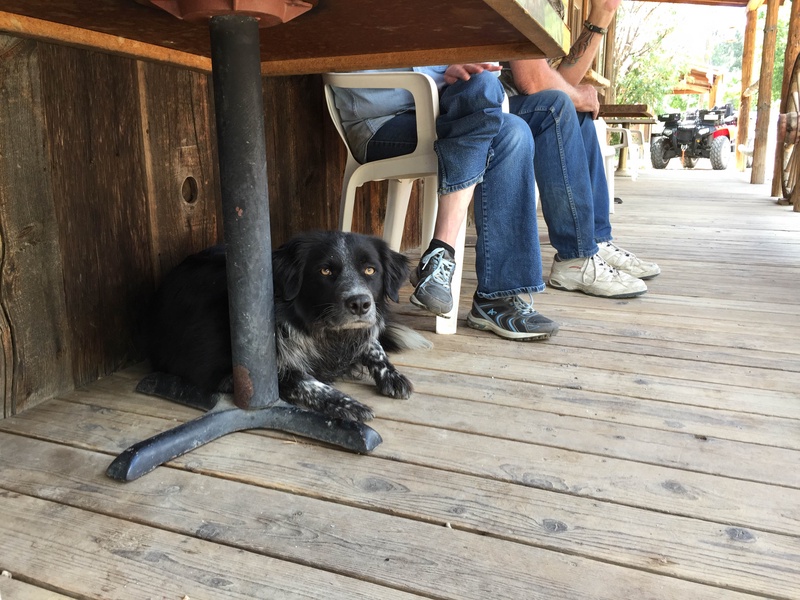 citizens-of-jarbidge_19624334674_o