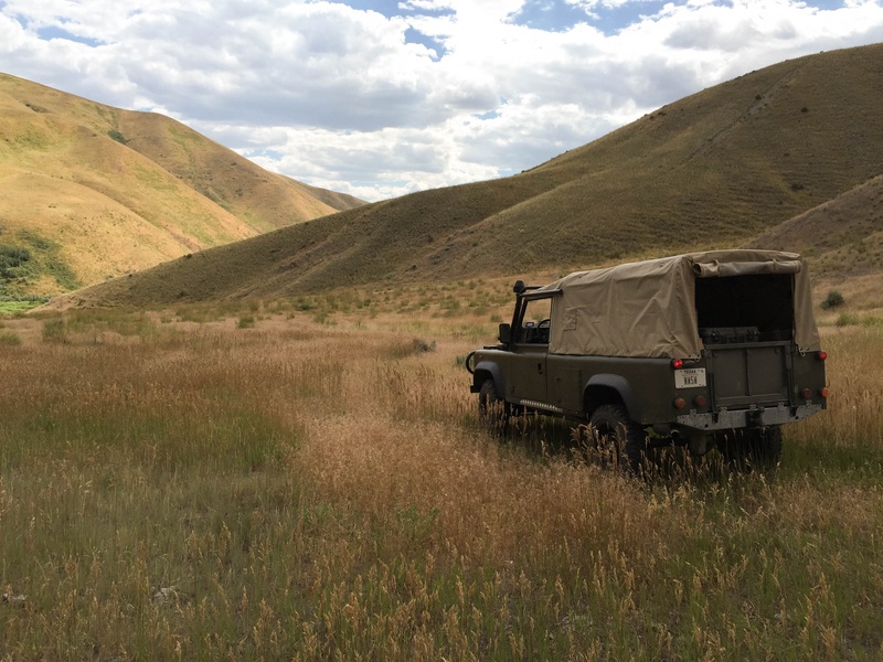 img_1818jpg_20220732236_o