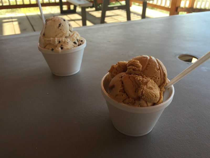 img_1979jpg_20220824706_o