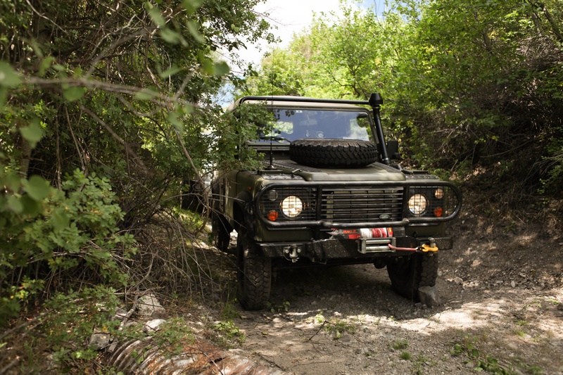 img_3334jpg_20247010025_o