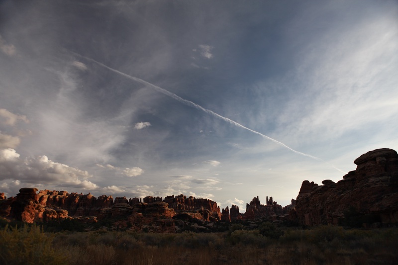 needles_5115050876_o