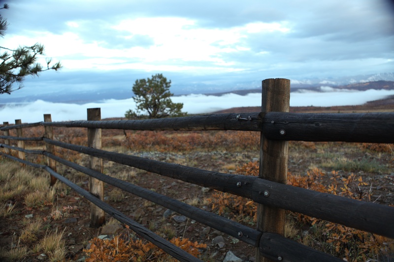 ralph-laurens-fence_5114476159_o