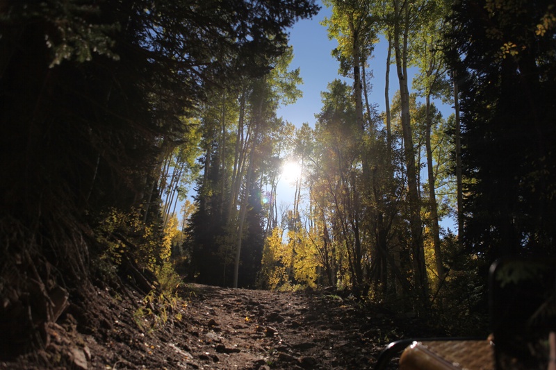 road-to-the-campsite_5115043590_o