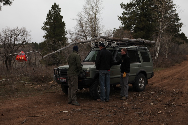 kevins-tree_6940199944_o