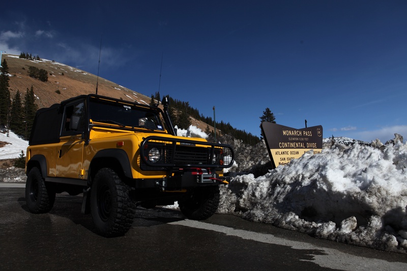 monarch_6940176604_o