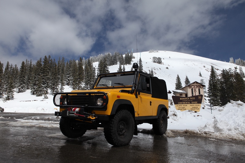 monarch_7086300543_o