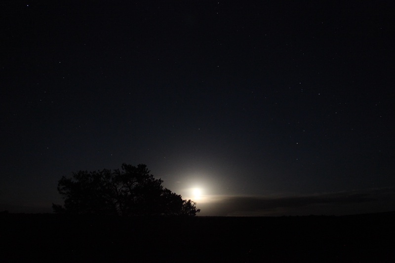 moonrise_6940180396_o