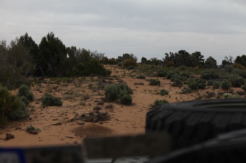 road-is-really-not-road_8762727734_o