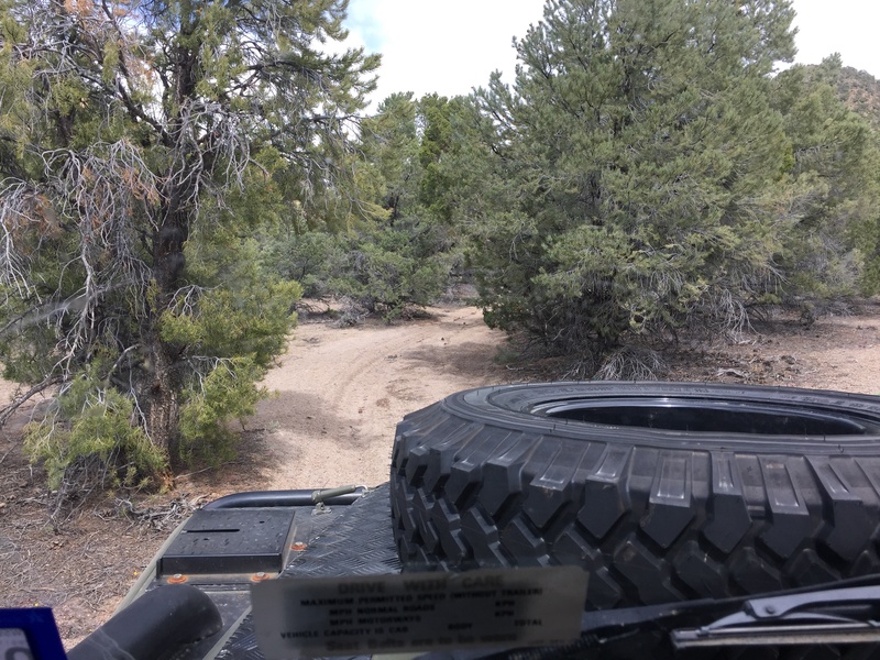 27742520554_1607c2a5cf_o