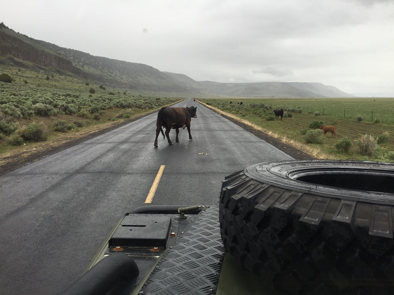 27914134473_63d9f77d1a_o