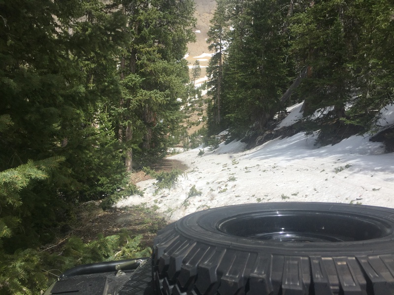 28279910511_c1181b8361_o