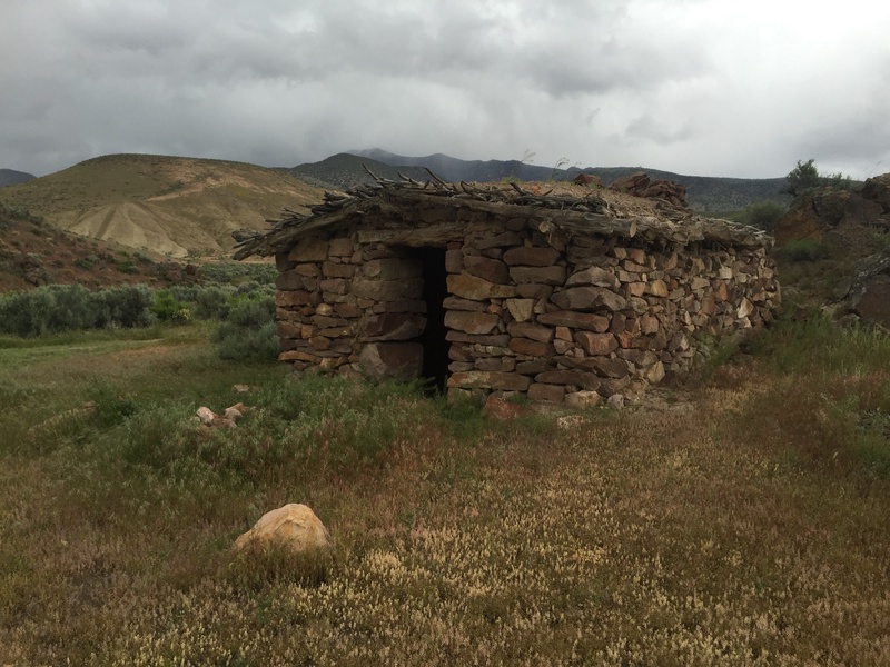 28499019386_0dd6351ee1_o