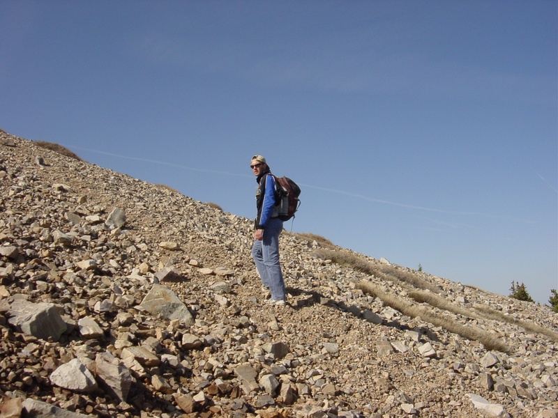climbing-wheeler_520815023_o